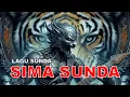 Download Lagu SIMA SUNDA - LAGU ROCK SUNDA AMATIRAN
