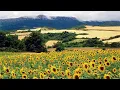 Download Lagu Воскресный вечер с Василием Тополёвым