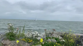 Een zomerwandeling op de Marker Wadden – Ep. 55