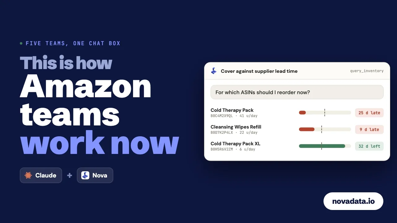 Nova MCP: connect your Amazon data to your AI assistant
