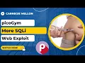 picoGym picoCTF Exercise More SQLi