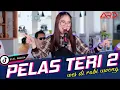 Download Lagu Alvi Ananta - Pelas Teri 2 | Wes Di Rabi Uwong  | (Official Music Video)