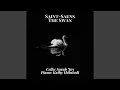 Download Lagu The Carnival of the Animals: XIII, The Swan