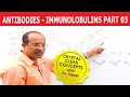 Antibodies Immunoglobulins Structure Function Part 3