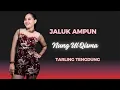 Download Lagu JALUK AMPUN TARLING TENGDUNG //  NUNG UL QISMA