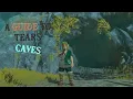 A Guide To Tears North Hyrule Plain Cave
