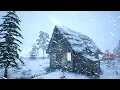 Download Lagu Een BRUTALE RUSSISCHE WINTER overleven in 2024 - EXTREME kou!