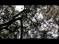Blissful Serenity Tranquil Meditation Music for Deep Relaxation - 7hours of relaxation