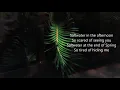 Geowulf - Saltwater (Lyric Video)