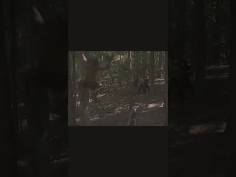 KORAK Parkour!