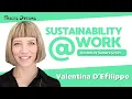 The challenges of visualizing sustainability