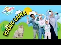 Kucing Laper - Arinaga Family #laguarinagafamily #arinagafamily