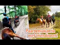 Download Lagu YT weekje begint! En het is meteen CHAOS met BOKKENDE PAARDEN!