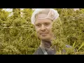 What s the best thing about being a Cannabis Grower at Curaleaf