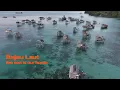 Download Lagu Bajau Laut  - the sea is our home