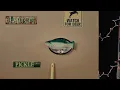 Tigirlily Gold - Country & Midwestern - Interlude