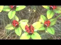 Latto - Big Energy (Visualizer)
