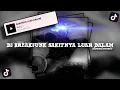 DJ BREAKFUNK SAKITNYA LUAR DALAM | slowed - reverb ๐ง
