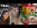 Reviewing HORRIBLE Hamster CRAIGSLIST Ads Critter Cruelty 4