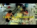 Cassavemeel - Amazonas - Video 06