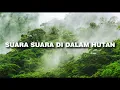 Download Lagu SUARA YANG ADA DI DALAM HUTAN 1 JAM
