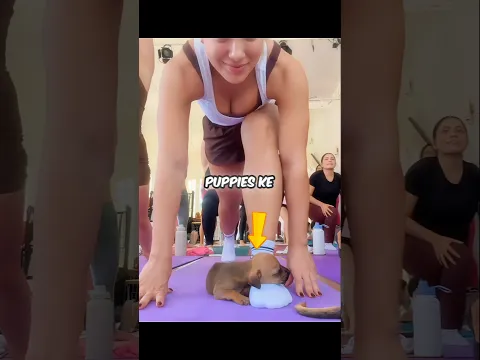 PUPPY FALLS ASLEEP DURING YOGA SESSION