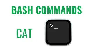 Bash Commands - cat command