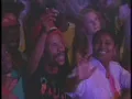 Culture - International herb live