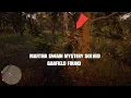 Red Dead Redemption 2 - Martha Swain Mystery Solved Garfield Found