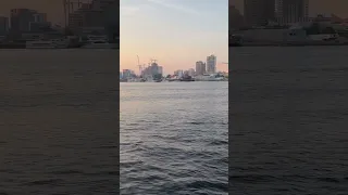 الي صانك ذنبو إيه عملك إيه Georgewassouf813 GeorgeWassouf66 جورج وسوف اكسبلور Dubai 