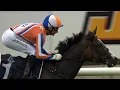 Gr 2 J Swap Contractors LTD Matamata Breeders Stakes - Lara Antipova