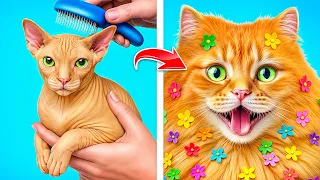 Забавные ситуации с животными и их хозяевами!
