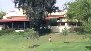 A SURVIVING Pat Oscars - Temecula CA