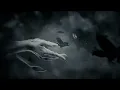 Download Lagu SWALLOW THE SUN - Charcoal Sky (OFFICIAL VISUALIZER VIDEO)