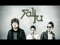 Download Lagu SALJU BAND Kumpulan Lagu Hits