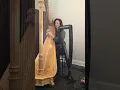 Lagu Fragile by Sting - harp cover by Vonda Darr