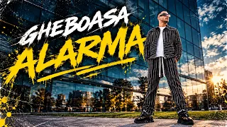 Descarcă GHEBOASA - Alarma MP3 gratuit - Muzica123
