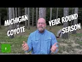 Michigan Coyote Year-Round Season Reinstated