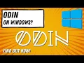 Odin Programming Language Tutorial Set Up with SDL2 on Windows