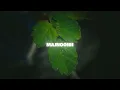 MAJNOONH (Slowed+Reverb) | Yo Yo Honey Singh | Jamila El Badaoui | GLORY