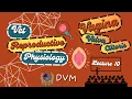 Vagina Vulva Clitoris CC Structure Function in Female Animals VetCare