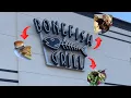 Trying Bonefish Grill s 3-Course Meal - Is It Worth It