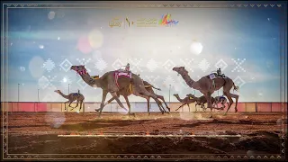أهل الهجن    الشيلة الرسمية لسباقات الهجن في  مهرجان الملك عبدالعزيز للإبل     دندنها