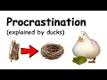 Procrastination explained by ducks