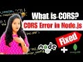 How to Fix CORS Error in Node js and ReactJS What is CORS CORS in Express js CORS in Node js
