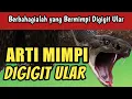 Download Lagu Jadi Lega.. Inilah Arti Mimpi Digigit Ular
