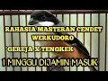 RAHASIA MASTERAN CENDET WERKUDORO | DIJAMIN PASTI MASUK