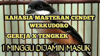 RAHASIA MASTERAN CENDET WERKUDORO | DIJAMIN PASTI MASUK