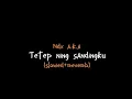 Download Lagu Tetep ning sandingku - NDX A.K.A(janji kancanono aku urip tekan matiku) (slowed+reverb)
