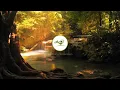 Endless: Relaxing Zen Music for Yoga, Meditation, Mindfulness & Sleep